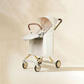 BA303 New Concept Stroller